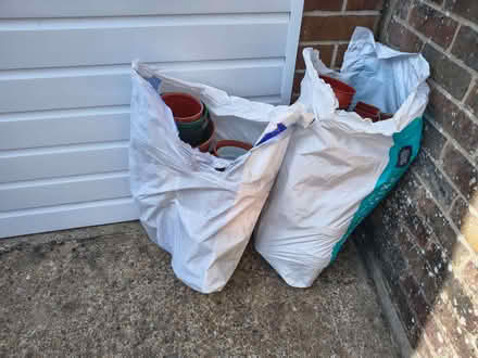 Photo of free Plastic plant pots (Gossops Green RH11) #1