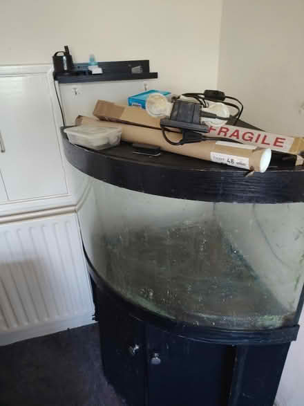 Photo of free Aquarium (Portsmouth PO1) #2