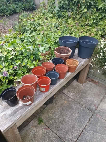 Photo of free Plant pot selection (SW2) #1