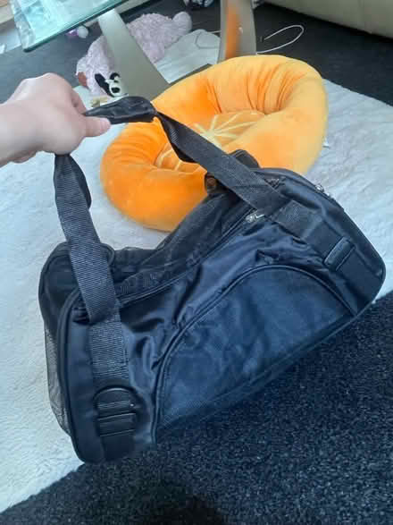 Photo of free small pet carrier (Leith/the shore) #2