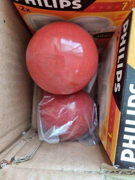 Photo of free Traditional light bulbs bayonet (Near Lowther Gardens FY8) #4