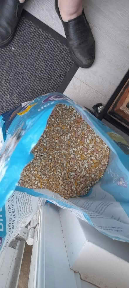 Photo of free Bird seed (Welling DA16) #1
