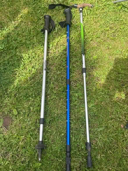 Photo of free 3 walking poles (CH61) #1