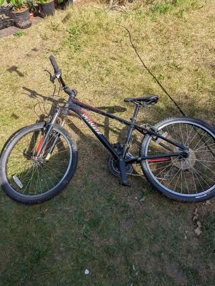 Photo of free 24in Specialized bike (St Albans AL1) #1