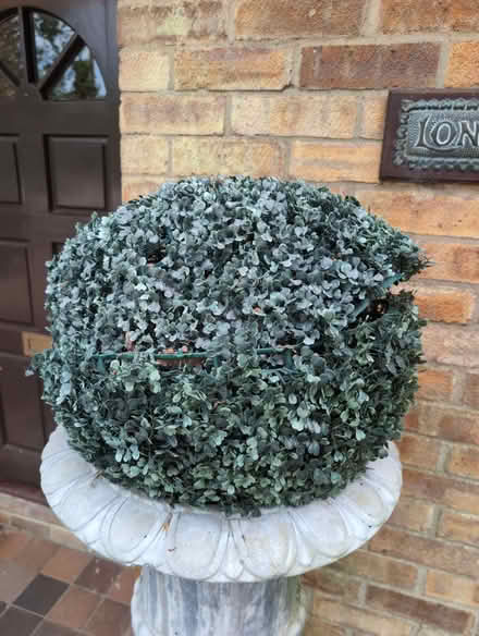 Photo of free Various size Topiary balls (Wickham PO17) #3