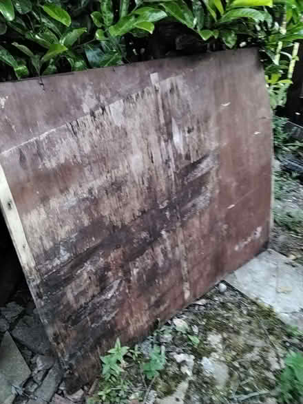 Photo of free Old bit of ply (Penrith CA11) #1