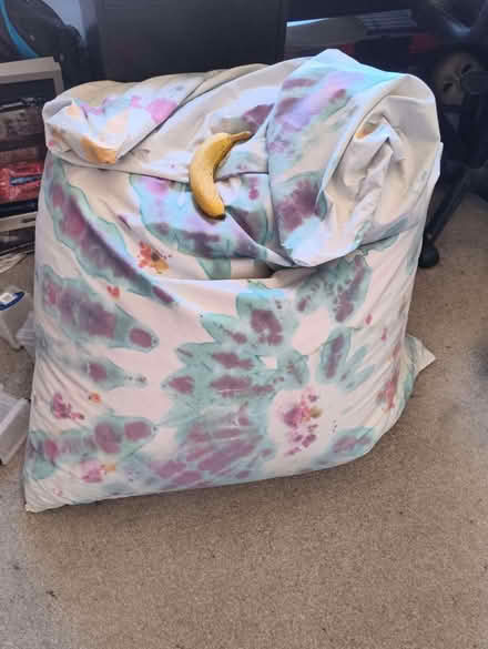 Photo of free Large Bean Bag (Rowditch DE22) #2