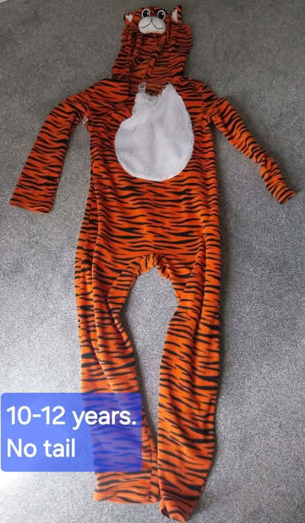 Photo of free Tiger onesie/fancy dress (New Duston NN5) #1