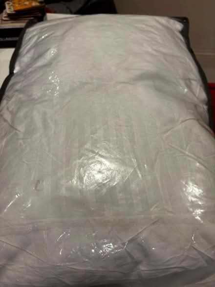 Photo of free 2x unused microfibre pillows (Lavender Hill SW11) #4