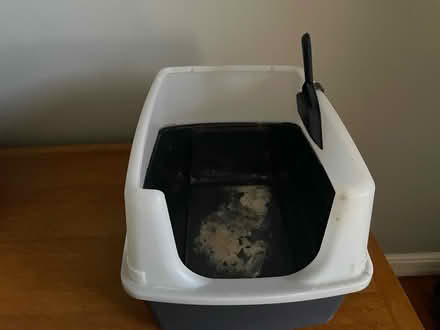Photo of free Cat Litter Box (Brockley SE4) #3