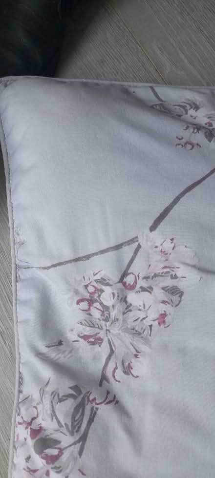 Photo of free Cushion (Welling DA16) #4