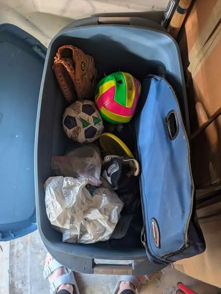Photo of free sports equipment (Sunnyvale Birdland) #1