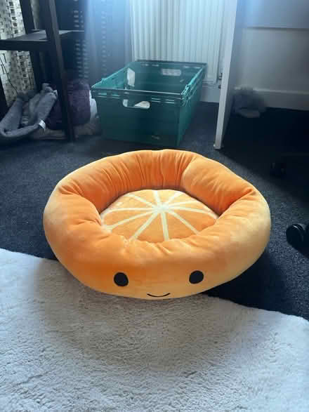Photo of free novelty orange dog/cat bed (Leith/the shore) #1
