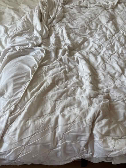 Photo of free Mattress protectors (Bordon) #1