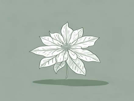 Photo of Clematis net (Upton CH49) #1