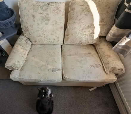 Photo of free Sofa Bed (Park Hill S2) #1