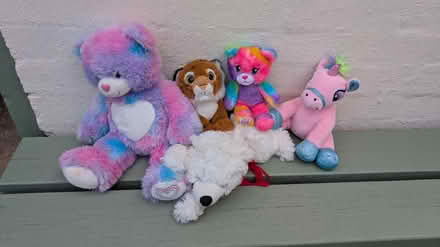 Photo of free Soft toys various (Newport Pagnell, MK16) #1