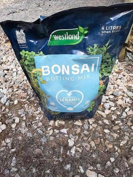 Photo of free Bonsai potting soil & liquid feed (Delgany) #1