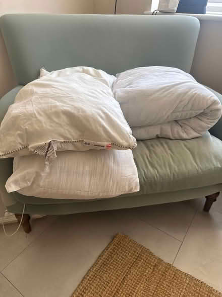 Photo of free Duvet & two pillows (Forest Hill - SE23) #1