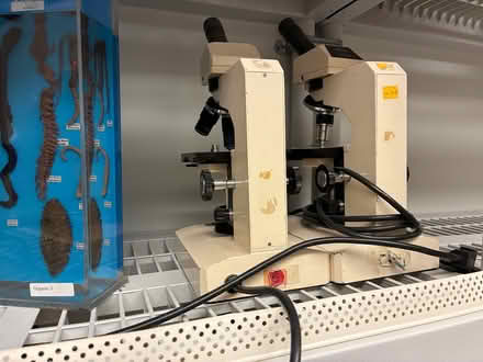 Photo of free Microscopes (1055 Ellis St., San Francisco) #1