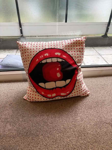 Photo of free 1 Feather cushion and 2 covers (W13) #2