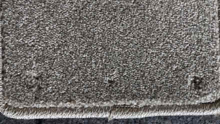 Photo of free Carpet Samples (Lipson PL4) #2