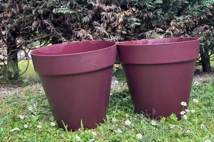 Photo of free 2 large plastic plant pots (Longton) #2