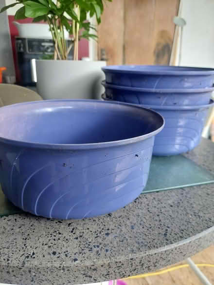 Photo of free Plant pot (SW16) #2