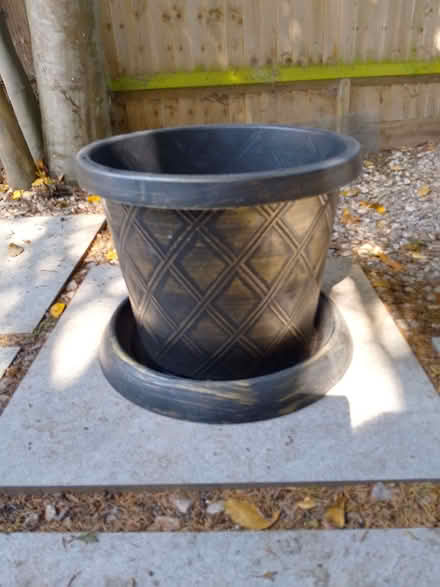Photo of free Large Plant Pot & Saucer (Bexhill TN39) #1