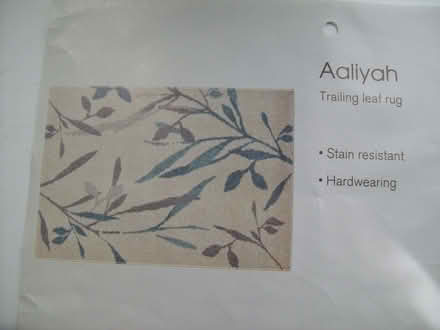 Photo of free Rug (Segensworth East PO14) #2