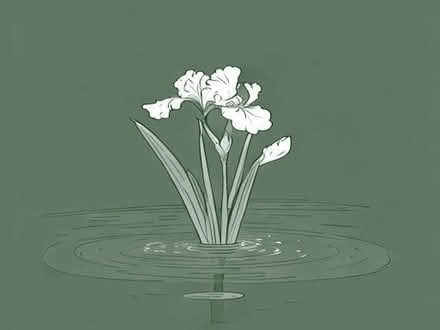 Photo of free Pond iris (Leeds LS14) #1