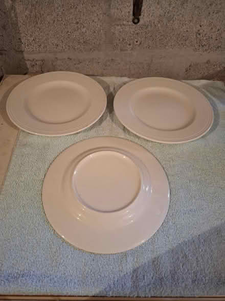 Photo of free 3x dinner plates (Threemilestone Truro) #2