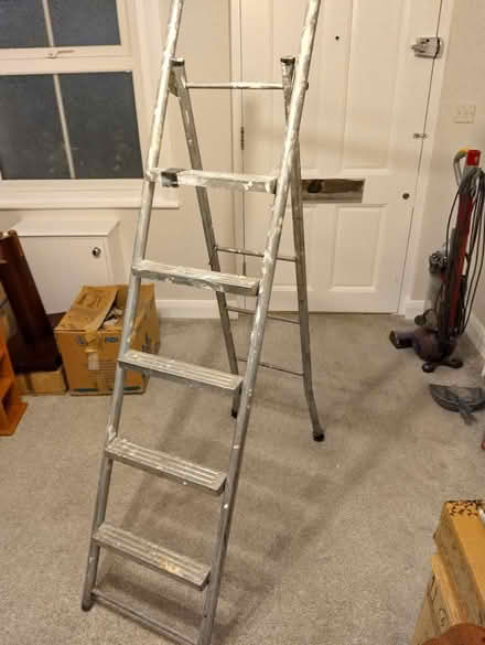 Photo of free Metal ladder (Tilehurst, Reading) #2