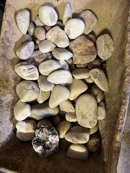 Photo of free Large Cotswold pebbles (Fobbing SS17) #1