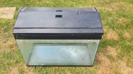 Photo of free Aquarium (Hungerford RG17) #2