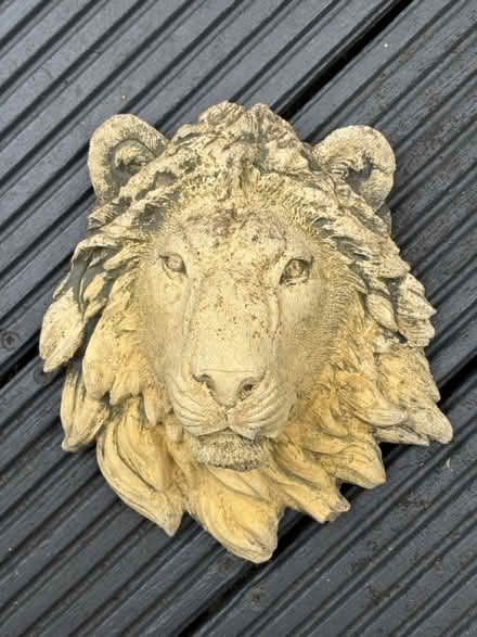 Photo of free Stone lion’s head (Winchester SO22) #2