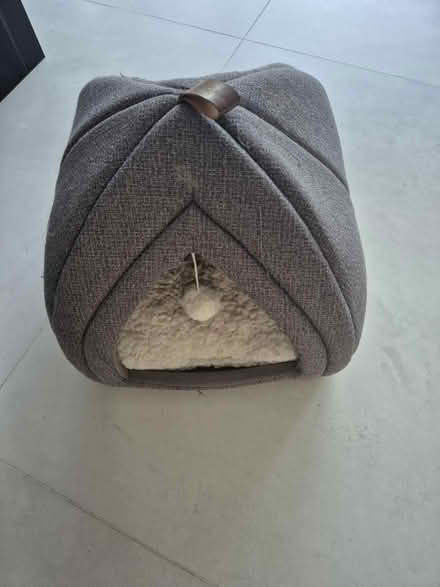 Photo of free Cat /kitten bed (Lingfield RH7) #2