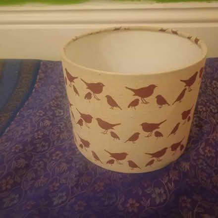 Photo of free Lamp shades (Drighlington, Bradford BD11) #1