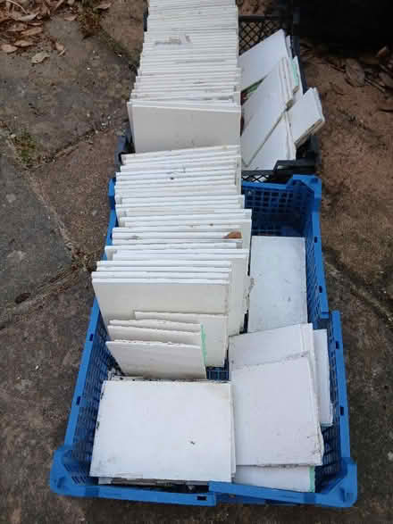 Photo of free White Tiles (Ramsgate CT11) #1