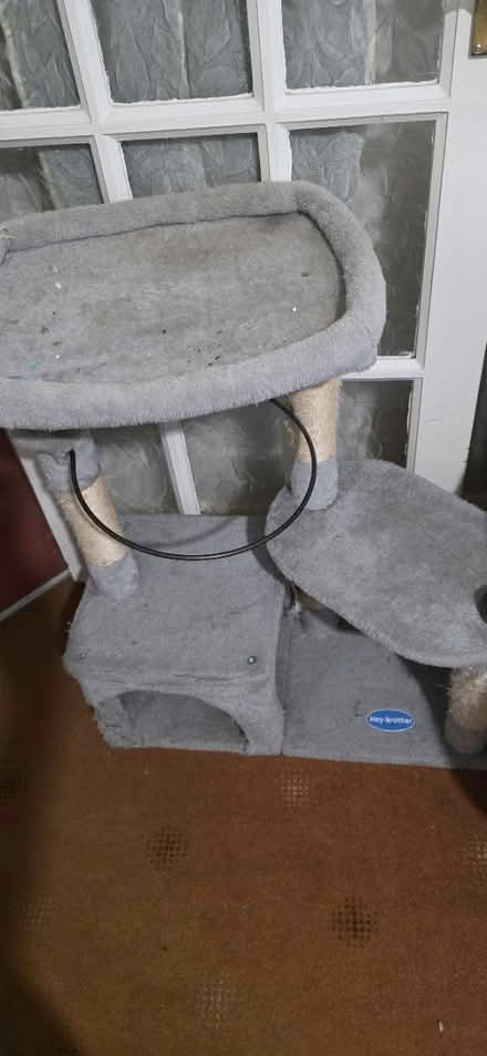 Photo of free Cat tree LUTON (Luton LU2) #2