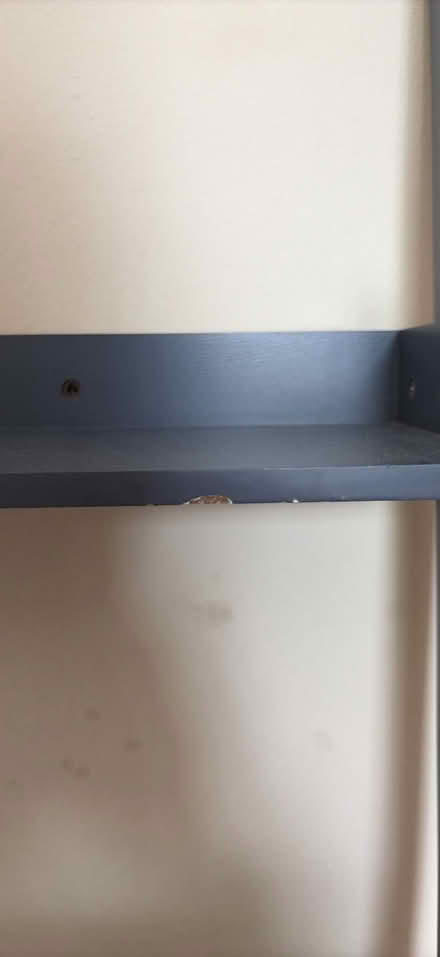 Photo of free Ladder Shelf (Chesham Bois, HP6) #4