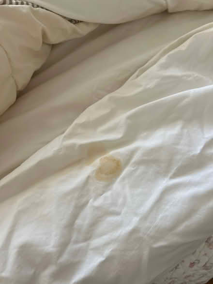 Photo of free Single duvet #2 (KT13) #4