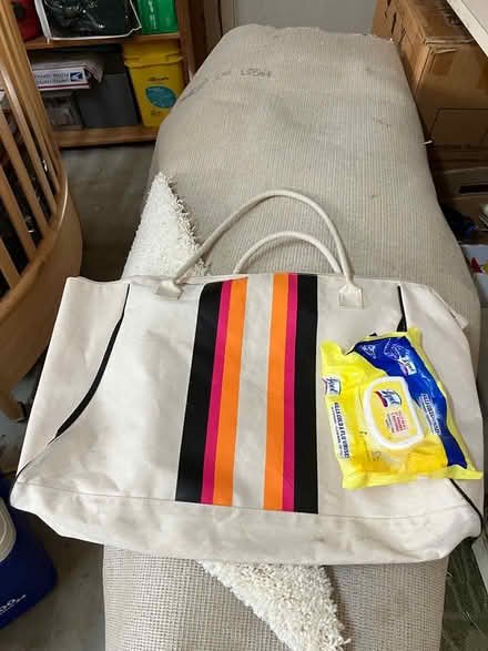 Photo of free Large carry (beach) bag (Sunnyvale CA) #1