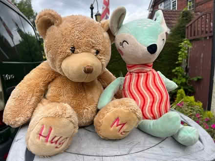 Photo of free Soft toys (Waterlooville PO7) #1