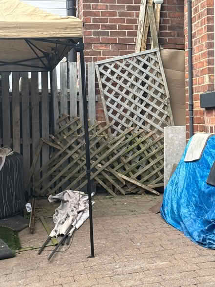 Photo of free Trellis wood (Hillsborough S6) #1