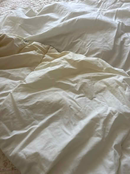 Photo of free Single duvet #2 (KT13) #3