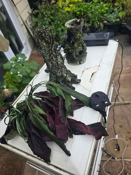 Photo of free Fish Tank Full Kit (Christchurch bh23) #3