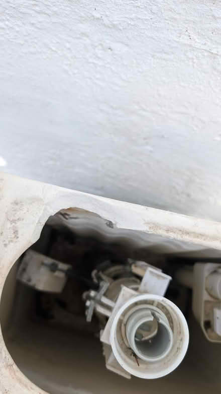 Photo of free Toilet (GL1) #2
