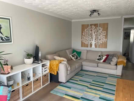 Photo of free L-shaped sofa & modern carpet (BS23 2LR) #1
