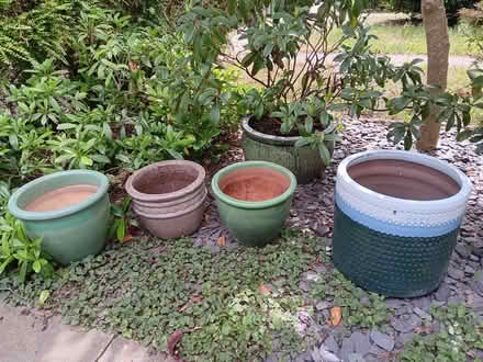 Photo of free Garden Pots (Ladywell SE13) #1